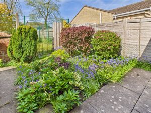 Garden- click for photo gallery